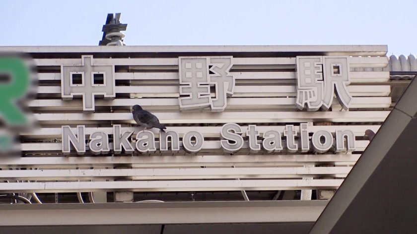 【美脚23歳】現役バレエ講師を街角ナンパ→M字開脚の柔軟性が規格外すぎて即ハメ！