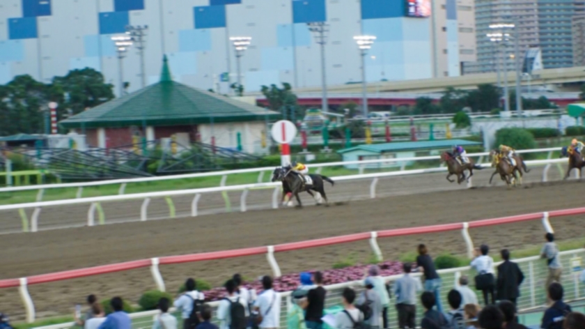 【居酒屋バイト21歳】競馬場でナンパしたウマジョが凄すぎた！馬並み巨根に跨り荒ぶる天才騎乗位